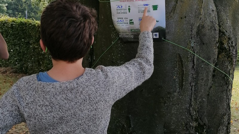 Junge zeigt auf ein Plakat, das am Baum befestigt ist.