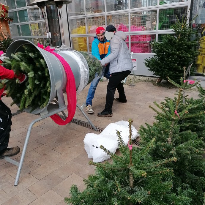 Der Tannenbaum wird durch die Netzmaschine gezogen.