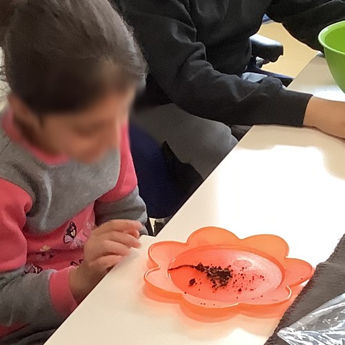 Ein Mädchen mit einem Plastikteller mit Kompostwürmern