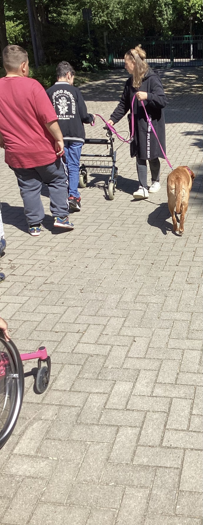 Ein Schüler führt den Hund an der Leine.