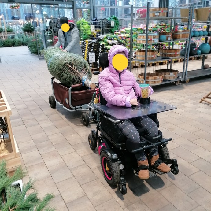 Eine Schülerin zieht mit dem Rollstuhl den Weihnachtsbaum im angehängten Bollerwagen.