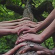 Viele Hände liegen nebeneinander auf einem Baumstamm.