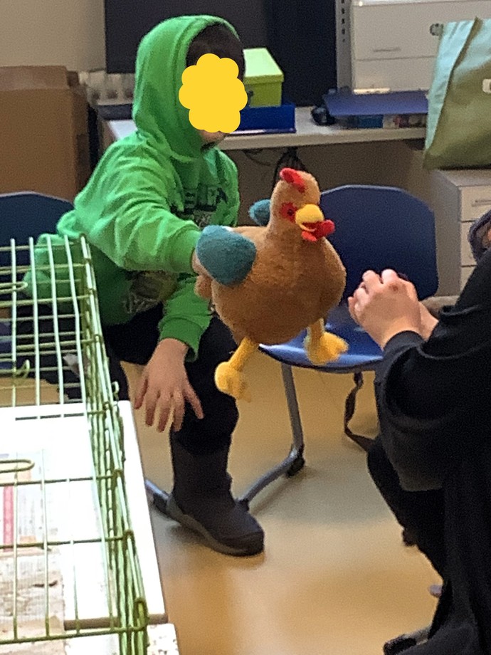 Schüler streichelt ein Kuscheltier-Huhn