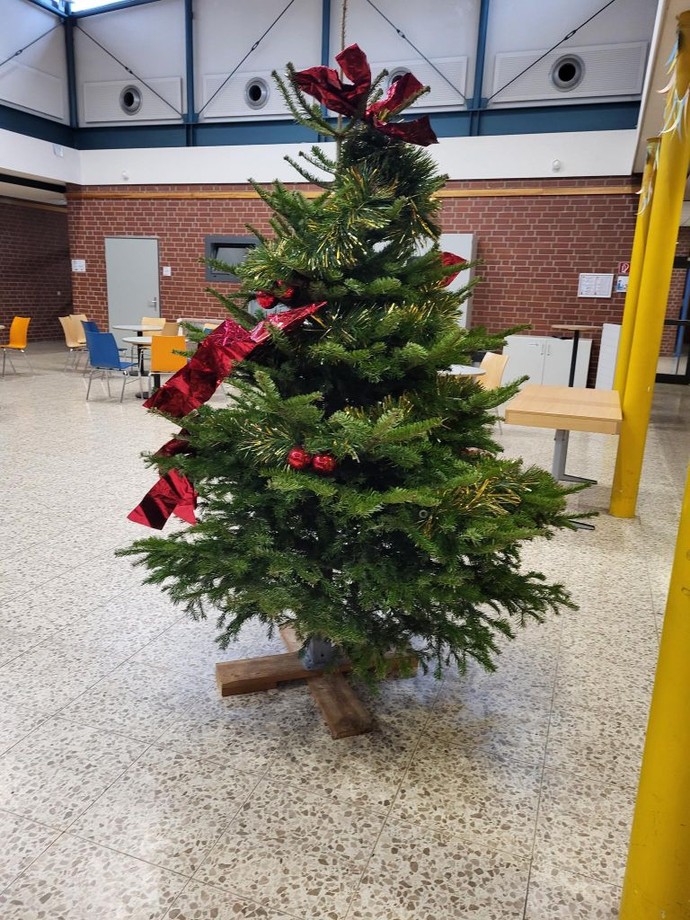 Der Tannenbaum steht im Forum.