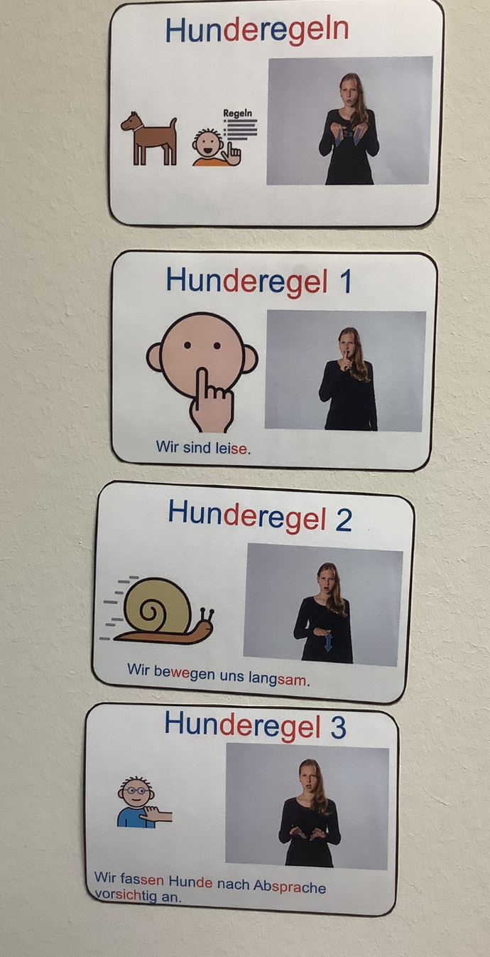 Schilder, auf denen die Hunderegeln abgebildet sind.