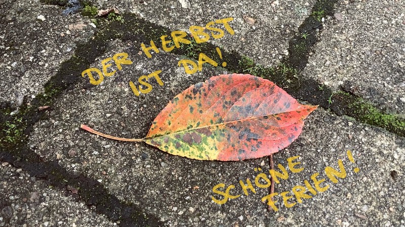 Ein buntes Blatt liegt auf dem Boden. Schöne Ferien.