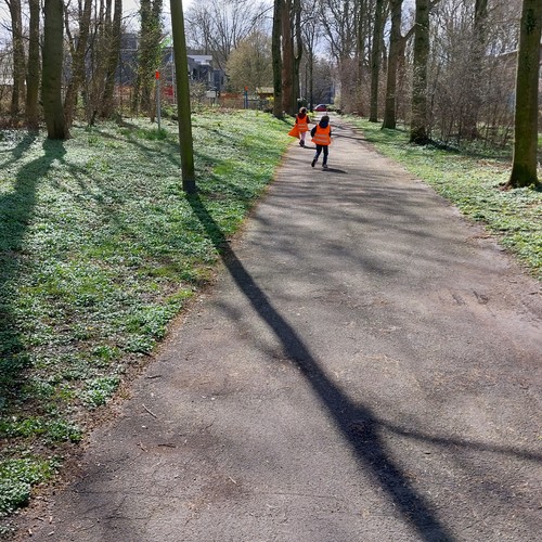 Kinder mit orangenen Warnwesten von hinten zu sehen laufen auf einem Weg, der von Bäumen gesäumt ist entlang.