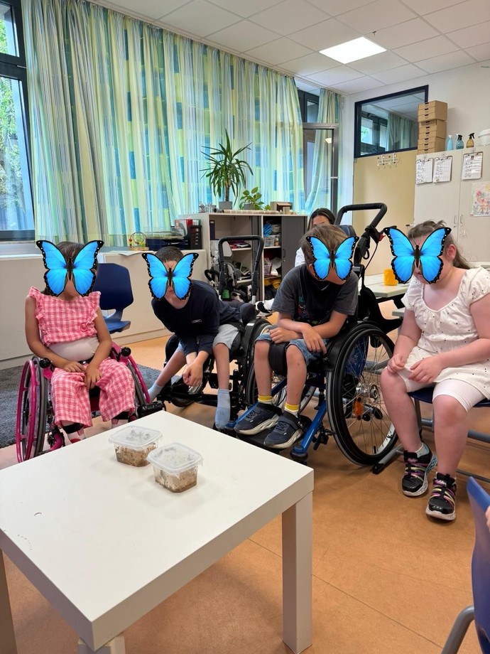 Die SchülerInnen und Schüler beobachten Raupen.