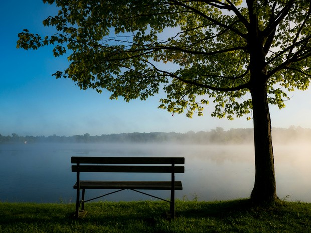 Eine Bank im Gegenlicht unter einem Baum mit Blick auf ein Gewässer im Nebel