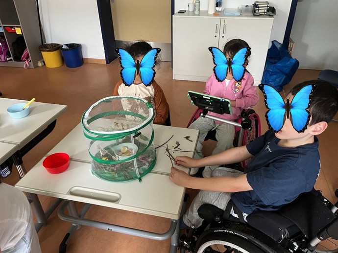 SchülerInnen beobachten Schmetterlinge in einer kleinen Voliere