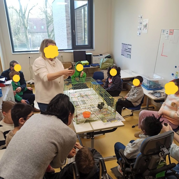 SchülerInnen sitzen im Kreis um einen Hühnerkäfig