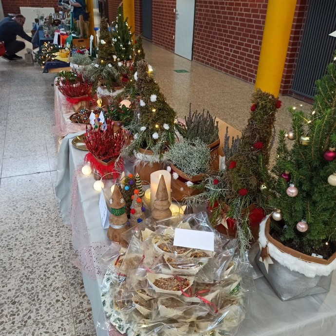 Weihnachtlich geschmückte Pflanzen